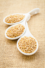 Golden flax seeds or linseeds.