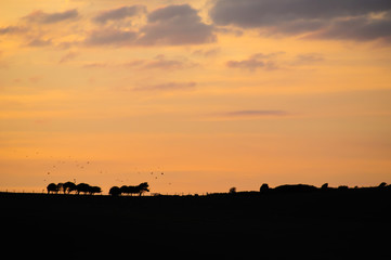 Sunset time at Eastbourne #2