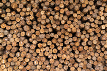 Stack of rough sawn timber