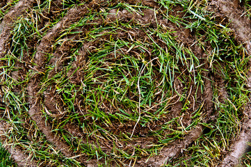 grass roll