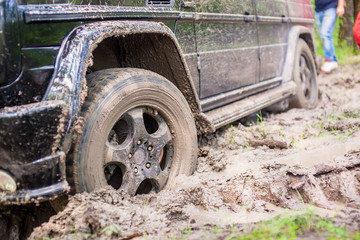 Fototapeta na wymiar SUV got stuck in the mud in the forest, off-road