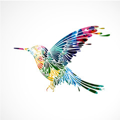 oiseau coloré,colibri