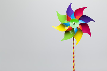 Colorful pinwheel isolated on grey background - obrazy, fototapety, plakaty