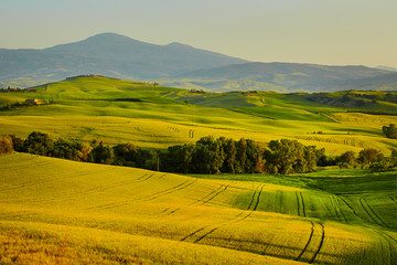 Beautiful view of green fields in Tuscany