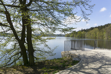Aussichtspunkt am Möhnesee, Naturpark Arnsberger Wald, Sauerland, Nordrhein-Westfalen, Deutschland