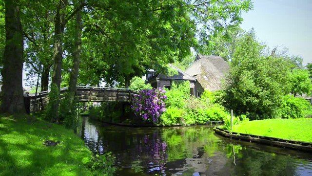 Duck in the grass next to a canal of the famous village of Giethoorn in Overijssel, The Netherlands on a sunny summer day. Cinemagraph clip.