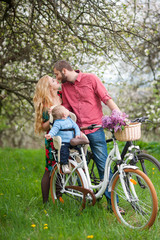 Obraz premium Cheerful baby sitting in bicycle chair against kissing parents on the background of blooming trees, dandelions and fresh greenery in spring garden