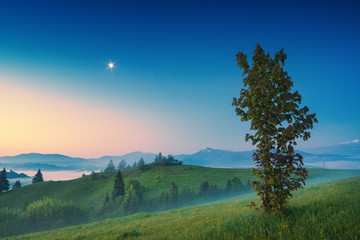 Fototapeta na wymiar Colorful sunrise in a carpathian mountain misty valley