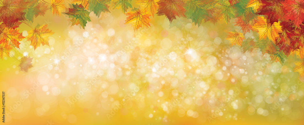 Canvas Prints vector autumnal leaves on bokeh background, blurred effect.