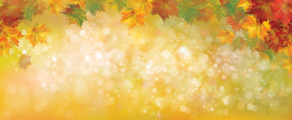 Vector autumnal leaves on bokeh background, blurred effect.