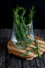 Fresh rosemary in a glass