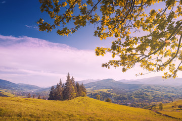 Hills and meadows in evening light