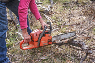 Lady cutting a branch for firewood with orange chainsaw.