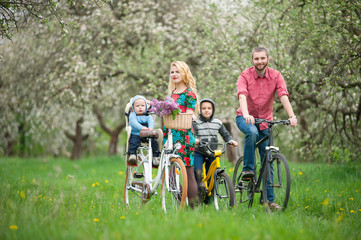 Happy family on a bicycles in the spring garden. Father and son on bikes, mom holding your bike and baby sitting in bicycle chair, against the background of blooming fresh greenery