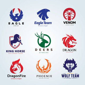 Animal logo collection. Animal logo set. Eagle logo. Snake logo. Dragon Logo, Fox and wolf logo. Deer logo. Horse logo. Bird Logo. Vector logo template.