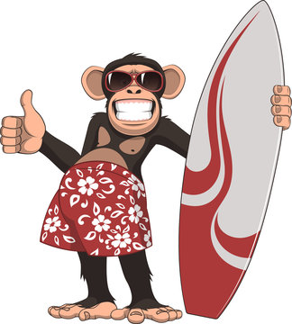 Funny Monkey Surfer