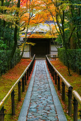 Colorful Autumn at Koto-in Temple in Kyoto, Japan