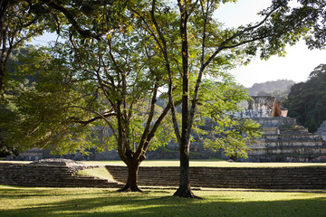 Fototapeta premium Mayan ruins in Palenque, Mexico