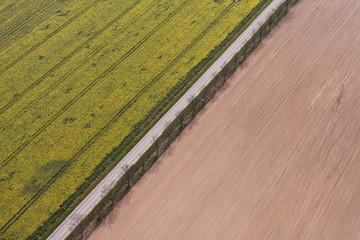 aerial view of harvest fields