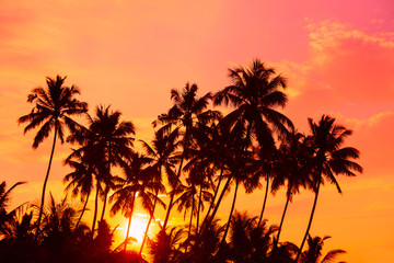 Fototapeta na wymiar Warm orange sunrise on tropical beach with palm trees silhouettes