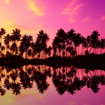 Tropical coconut palm trees silhouettes with reflection in water at sunset light