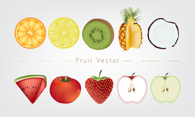 Fruits illustration; orange lemon kiwi pineapple coconut watermelon tomato strawberry apple