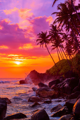 Palm trees on tropical beach at sunset - obrazy, fototapety, plakaty