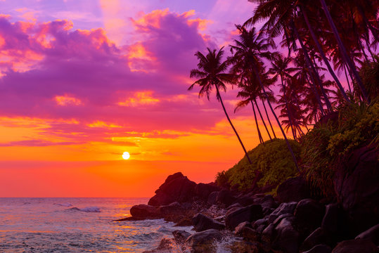 Tropical beach at sunset with palm trees shiny waves spashes