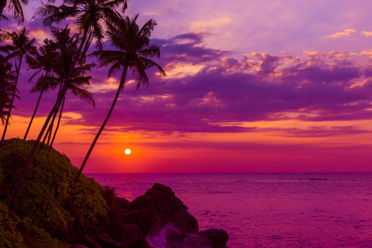 Tropical sunset over the ocean with coconut palm tree silhouettes at tranquil summer beach on island resort