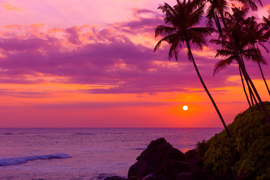 Warm colorful tropical sunset over the ocean with coconut palm tree silhouettes at tranquil summer beach on island resort