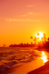 Sunset on tropical beach with palm trees silhouettes