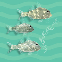 Vector illustration with  fishes and alga.