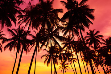 Fototapeta na wymiar Palm trees silhouettes on tropical beach at vivid sunset time