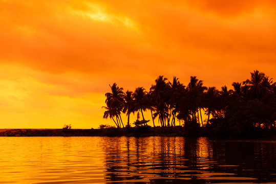 Palm trees silhouettes on tropical beach with reflection in water at sunset