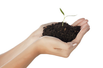 environmental conservation concept