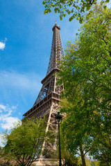 Eiffel Tower and green trees border in Paris France at sunny day over the blue sky background