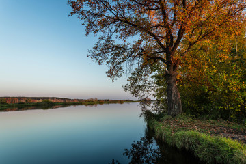 The tree on the Bank of river in autumn