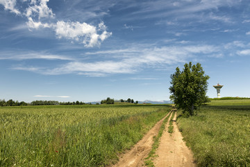 Fototapeta na wymiar Country landscape in Brianza (Italy)
