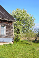 Russian village