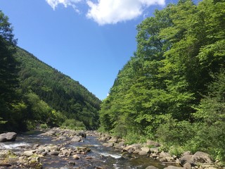 新緑の渓谷