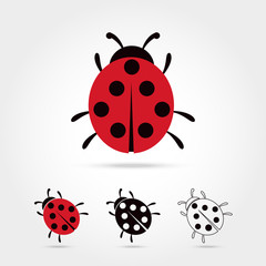 Ladybug vector