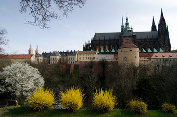 Saint Vitus Cathedral in Prague. Czech republic. Bohemia.