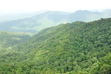Forest landscape at Huai Kha Khaeng Wildlife Sanctuary, Thailand, World Heritage 