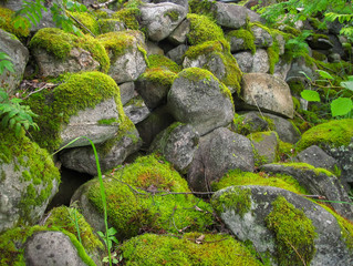 Stones moss background