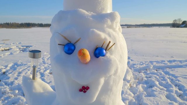 Closer look of the lady snowman with blue eyes carrot nose small lips and white cap on the head