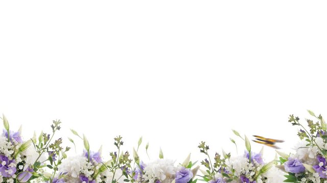 Bouquet of blue irises, white flowers and butterfly. Footage with alpha channel. File format - mov. Codec - PNG+Alpha