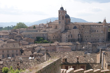 urbino