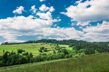 Fototapeta premium green field under the beautiful clouds