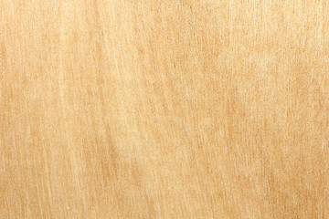 Texture of wood background