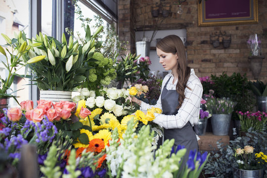 Florist working in a flower shop
